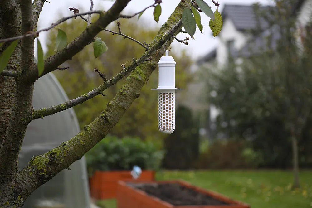 Fuglefoderholder